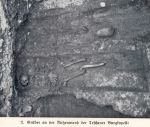 Grób odnaleziony w trakcie badań archeologicznych przy Rotundzie